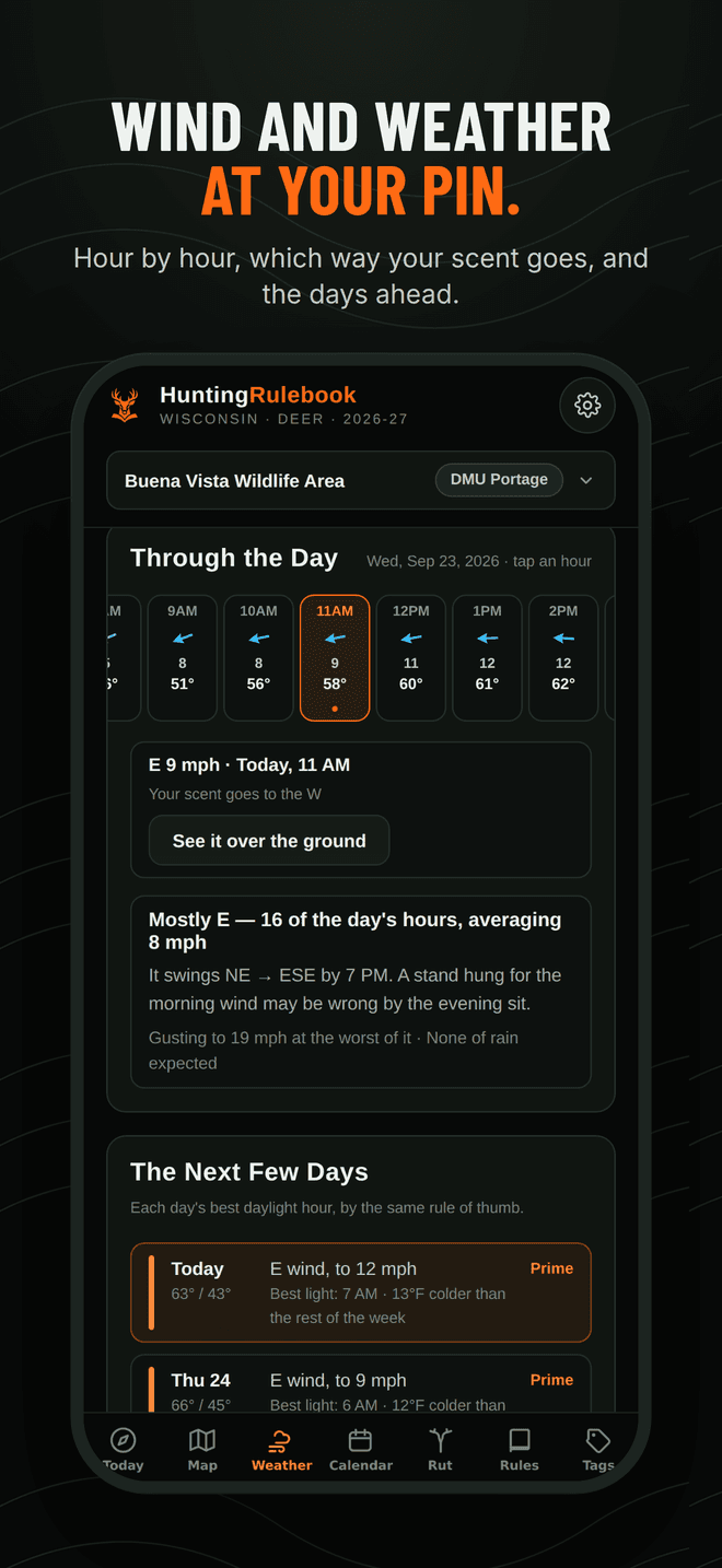 Weather: the hour at the pin, the wind and the week ahead